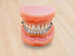 ハーフリンガル